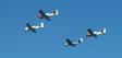 planes1.jpg 