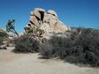 DSCN0958.jpg 