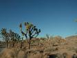 DSCN1081.jpg 
