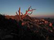 DSCN1102.jpg 
