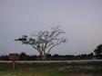 DSCN6508.jpg 